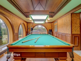 Salienieki - Attēls