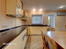 Salienieki - Attēls