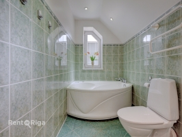 Salienieki - Attēls