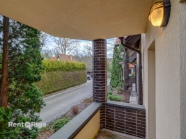 Salienieki - Attēls