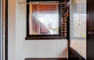 Salienieki - Attēls