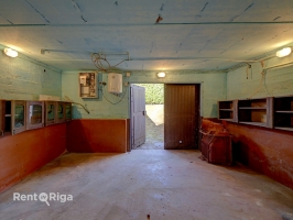 Salienieki - Attēls