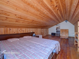 Salienieki - Attēls