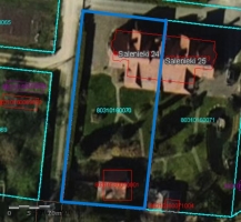 Salienieki - Attēls