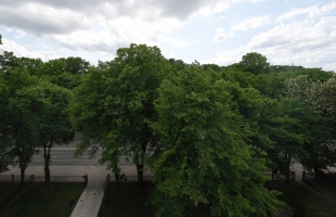 Kalpaka bulvāris 7 - Attēls