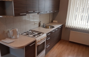 Rūpniecības 42 - Attēls