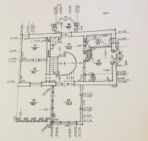 Salienieki - Attēls