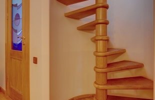 Salienieki - Attēls