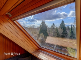 Salienieki - Attēls