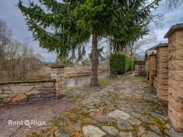 Salienieki - Attēls