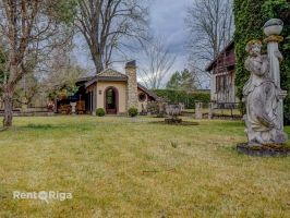 Salienieki - Attēls