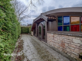 Salienieki - Attēls