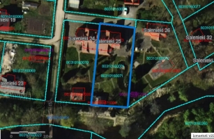 Salienieki - Attēls