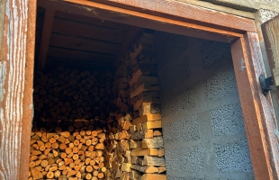 Krišjāņa Barona - Attēls