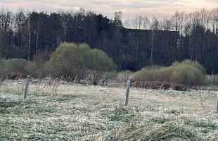 Krišjāņa Barona - Attēls