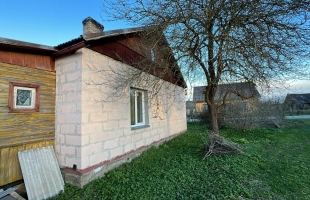 Krišjāņa Barona - Attēls