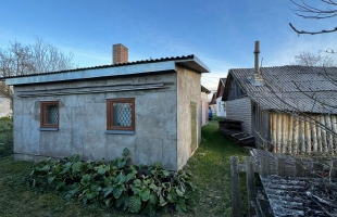 Krišjāņa Barona - Attēls