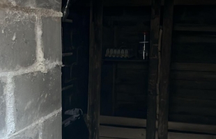 Krišjāņa Barona - Attēls