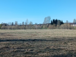 Jaunrakauskas - Attēls