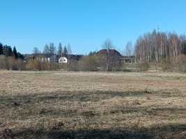 Jaunrakauskas - Attēls