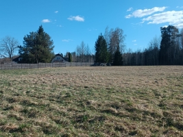 Jaunrakauskas - Attēls