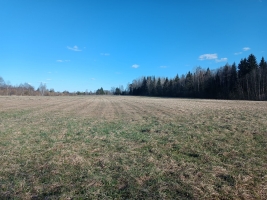 Jaunrakauskas - Attēls