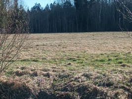 Jaunrakauskas - Attēls