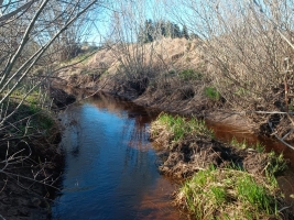 Jaunrakauskas - Attēls