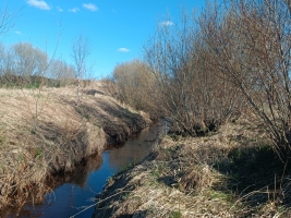 Jaunrakauskas - Attēls