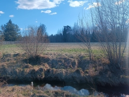 Jaunrakauskas - Attēls