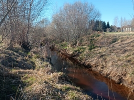 Jaunrakauskas - Attēls