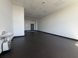 Brīvības gatve - Attēls