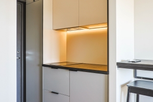 E.Birznieka Upīša 20a - Attēls