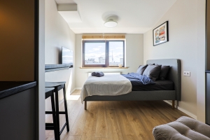 E.Birznieka Upīša 20a - Attēls