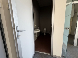 Bērzaunes - Attēls