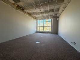 Bērzaunes - Attēls