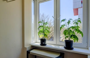 Aleksandra Bieziņa 2 - Attēls