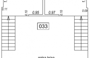 Valentīna 16 - Attēls