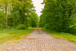 Zviedru - Image