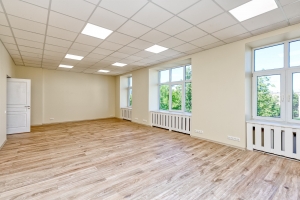 Ernesta Birznieka - Upīša - Изображение