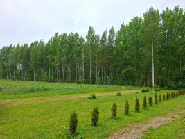 Daugavas iela - Attēls