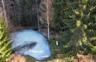 Lejasaustrumi - Image