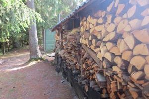 Lejasaustrumi - Image
