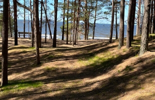 Liepu - Attēls