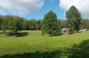 Ielejas - Attēls