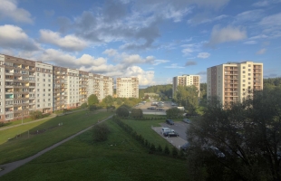 Salnas 26 - Attēls