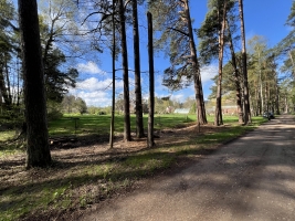 Rubeņu - Attēls