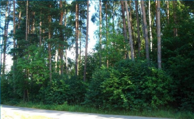 Land plot for sale, Rubeņu street - Image 1