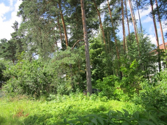 Land plot for sale, Vijolīšu street - Image 1