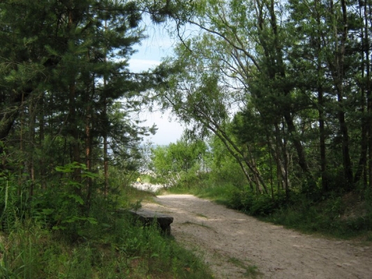 Investīciju objekts, Birzes iela - Attēls 1